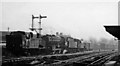 Three light engines from Ferme Park Yard passing Harringay West  Station