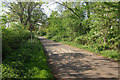 Coalpit Lane near Wolston Grange