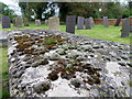 Lichen, Gravestone at St Denys Church