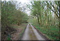 TQ0235 : Wey South Path, Sedghurst Wood by N Chadwick