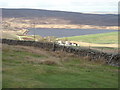 Lower Barden Reservoir