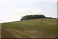 Hilltop near Ashingdon