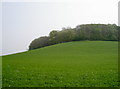 Profile of Stantonbury Hill