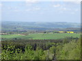 Hexhamshire viewed from Slaley Forest