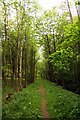 Thame Lane through Clifton Heath