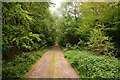 Bridleway through Clifton Heath