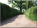 Road from Barton Cross to Hellions Mill