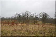 TQ6742 : Brenchley golf course (abandoned) by N Chadwick