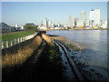 Planted reed bed on the Thames river bank