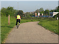 TQ4501 : Cycle track alongside the A259 by Stephen Craven