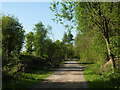 Stockley Trail scene