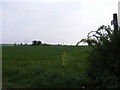 TM3156 : Bridleway to the B1078 Ash Road by Geographer