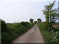 TM3156 : Hacheston Road to the B1078 Ash Road by Geographer