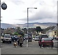 Dog walking in Church Street, Rostrevor