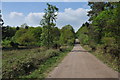 Road across Wigpool Common