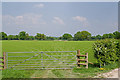 Gate to field