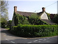 Overgrown cottage, West Stoughton