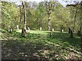 Stone circle in Goat Field Arboretum