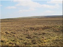 NY7647 : Cleugh Head on Hesleywell Moor by Mike Quinn