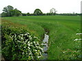 Beck off Moor Lane