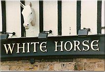 SK3875 : White Horse by John Jennings