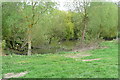 SU6056 : Pond at Kiln Green by Graham Horn