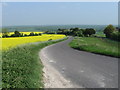 Ashmore Lane, south of West Dean