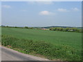 Looking across fields to Windrush