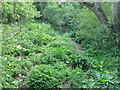 Dry stream bed, near West Dean