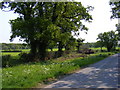 TM3359 : Button's Road & the footpath to Great Glemham Wood, Chapel Road & Botany Lane by Geographer
