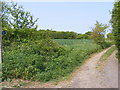 TM3463 : Footpath to The Gull, B1119 Saxmundham Road & Grove Road by Geographer