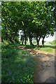 Footpath Through Orsett Golf Club