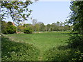 Footpath to Bruisyard Road