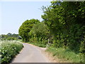 Road to Bruisyard & Footpath to Bruisyard Road