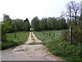 Footpath to the road to Bruisyard