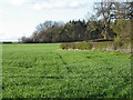 Arable land near Middleton Tyas