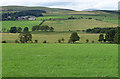 NT9807 : Farmland near Netherton (2) by Stephen Richards