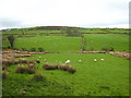 Fields on Slievenisky Road