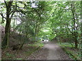 Path from Botley Wood about to meet Titchfield Lane