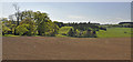 Looking to Scarhead House from Conland Farm