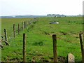 Field and fence near Longrigg