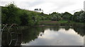 Pool alongside motorway