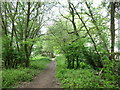 Footpath from Dunstall Green