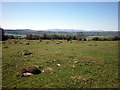 SD4986 : Prehistoric cairn, Sizergh Fell by Karl and Ali
