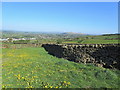 Pastures near High Bradley