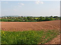 Fields near Sharpness