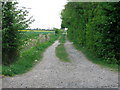 Farm Track near Whaddon 