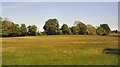 Field near Heaven Wood