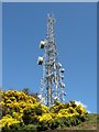 NT2570 : Communications mast on Blackford Hill by M J Richardson