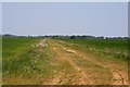 Track across the field